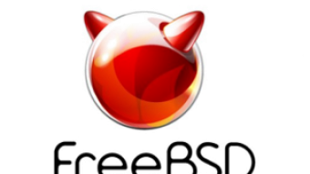 Upgrade la portupgrade în FreeBSD